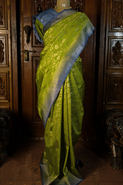 Green saree with blue border on a mannequin against a wooden background